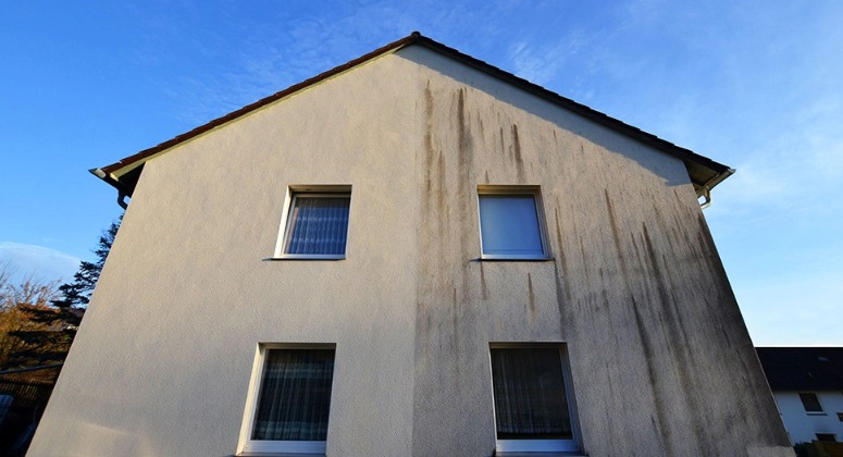 Fassadenreinigung